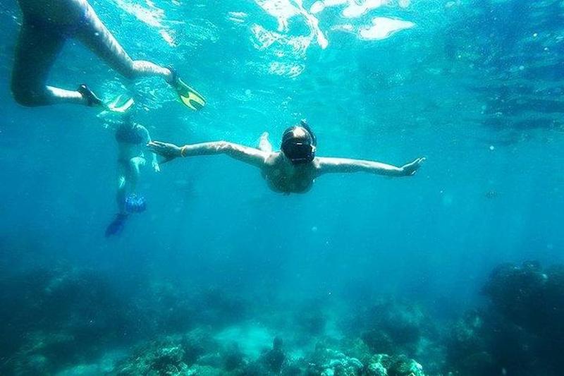 Discover vibrant corals and sea life while snorkeling at Koh Racha Yai Island.