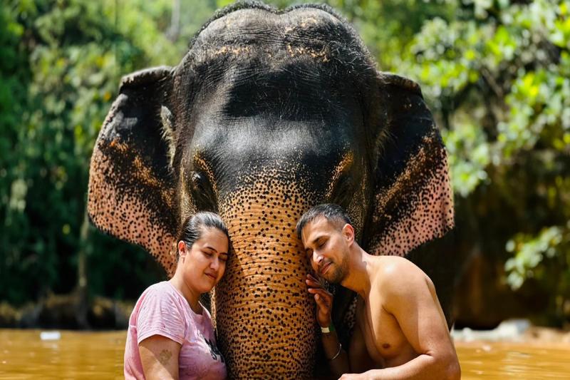 Feeding elephants in Phuket, elephant care experience with tourists